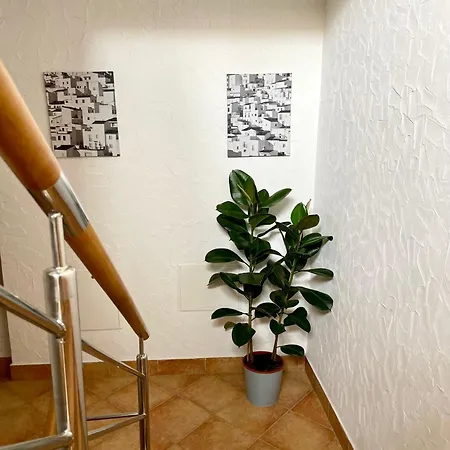Aparthotel Seasons